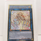 The Weather Painter Rainbow (MGED-EN033) PSA 10 1st Ed.
